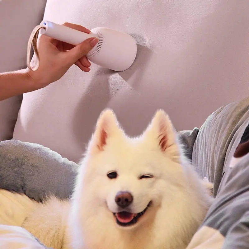 Portable Vacuum Cleaner 1