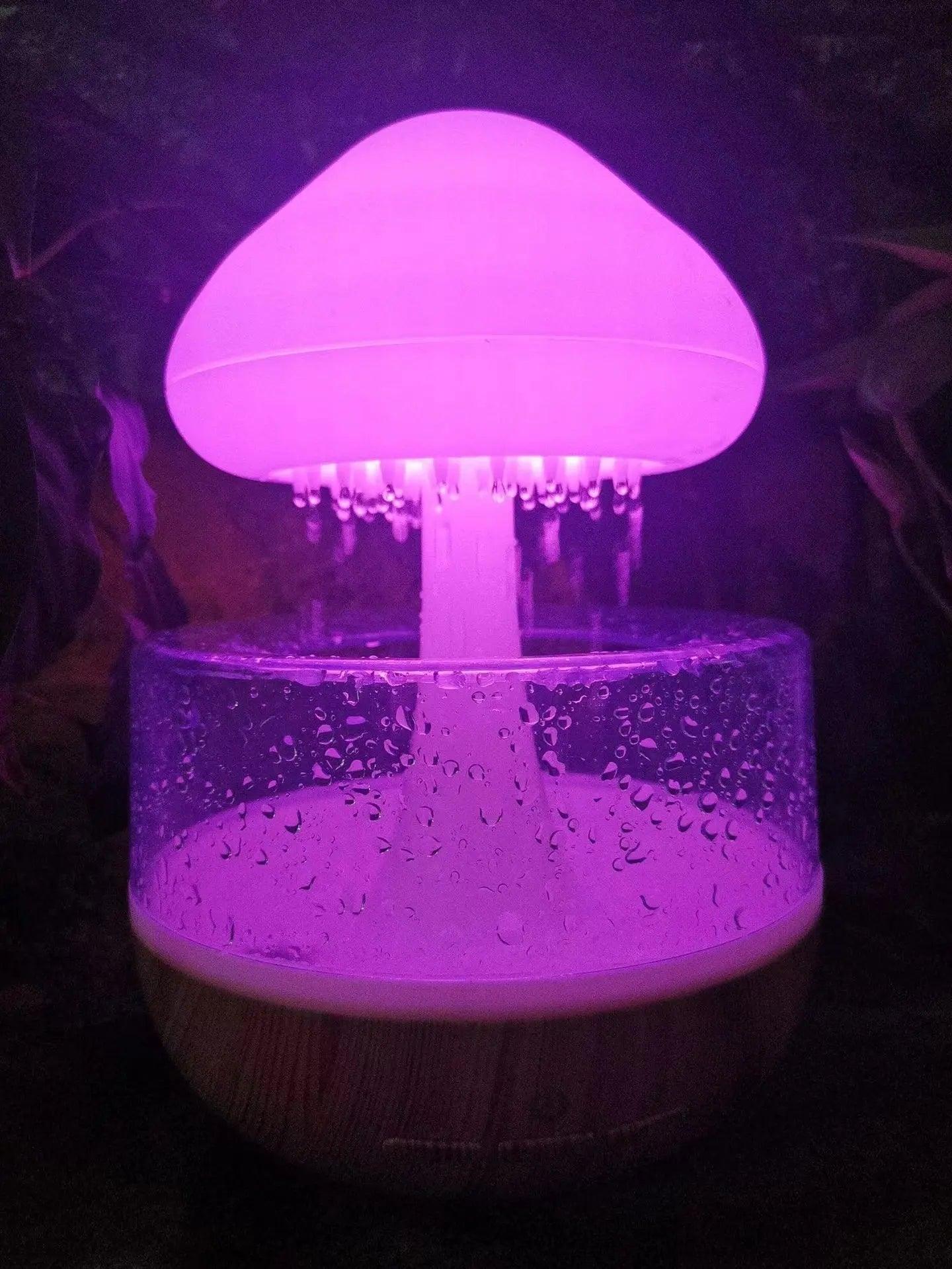 Rain Cloud Humidifier 1
