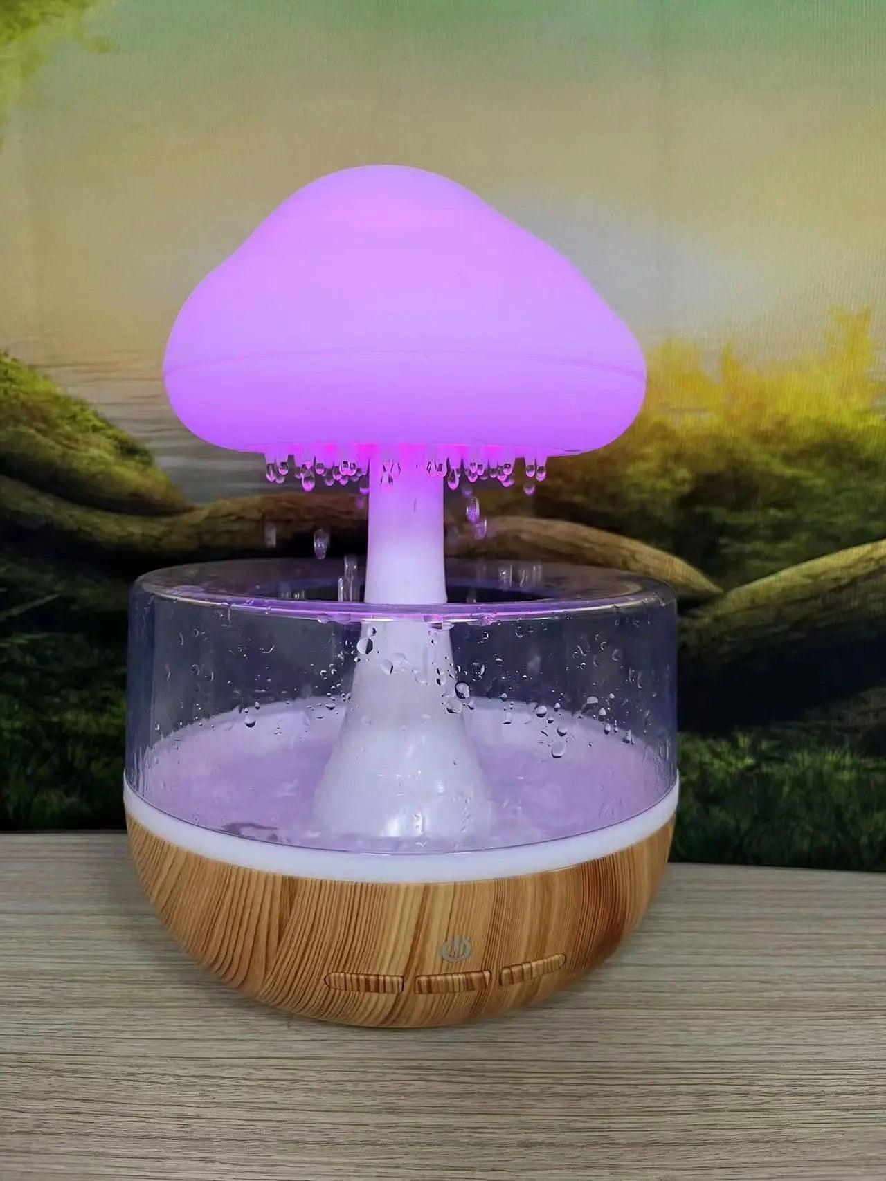 Rain Cloud Humidifier 1