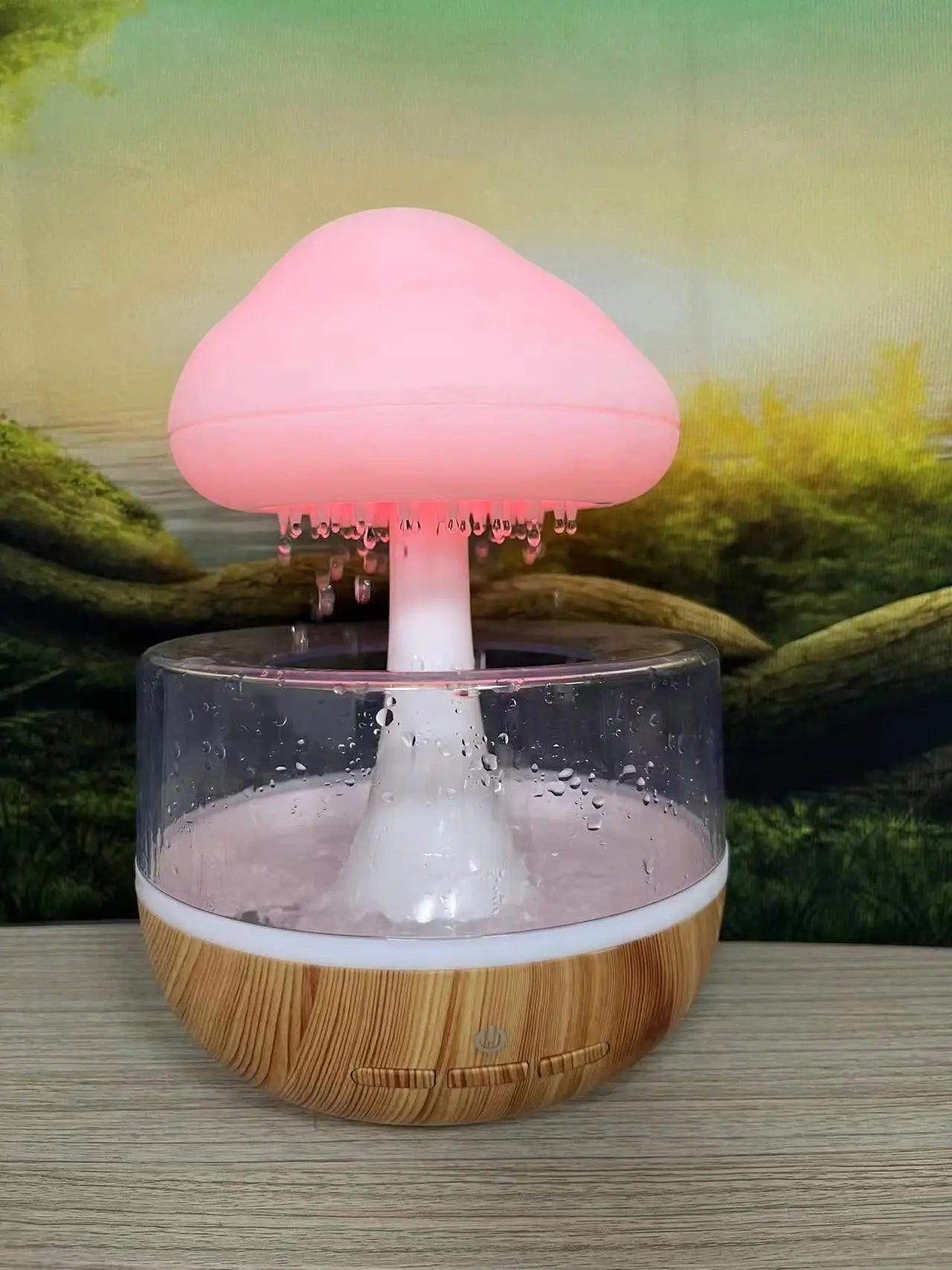 Rain Cloud Humidifier 1