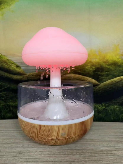 Rain Cloud Humidifier 1