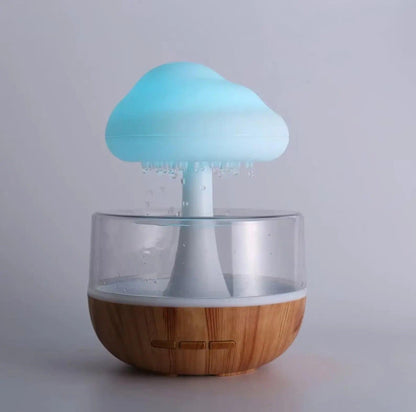 Rain Cloud Humidifier 1
