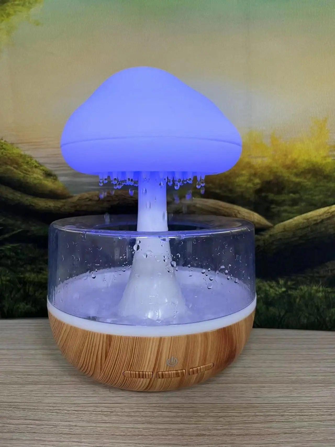 Rain Cloud Humidifier 1