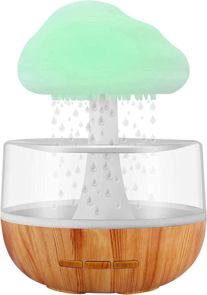 Rain Cloud Humidifier 1